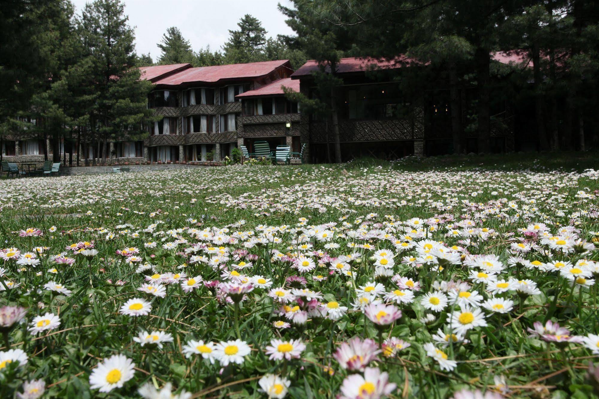 Senator Pine N Peak Hotel Pahalgām Buitenkant foto