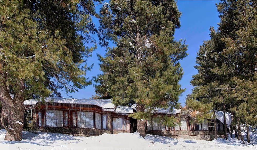 Senator Pine N Peak Hotel Pahalgām Buitenkant foto